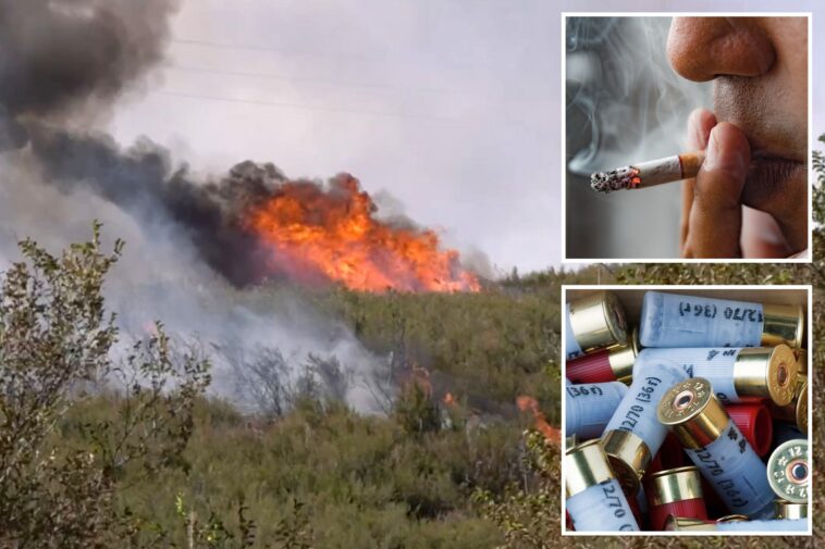 man-who-started-1000-acre-bouquet-fire-slapped-with-federal-arson-charges-as-investigation-unfolds