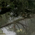 hurricane-isaias-brings-96-mph-gusts-to-florida-as-flooding-threat-grows