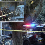 multiple-people,-including-2-children,-dead-in-suspected-murder-suicide-at-pennsylvania-home