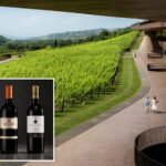 thieves-pull-off-italy’s-biggest-ever-wine-heist,-stealing-30,000-bottles-worth-$5.8m