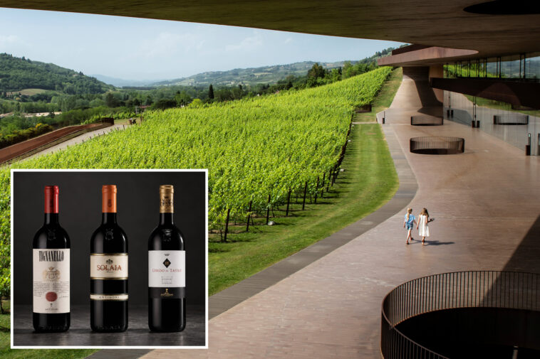 thieves-pull-off-italy’s-biggest-ever-wine-heist,-stealing-30,000-bottles-worth-$5.8m