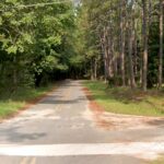 five-dead-after-late-night-mass-shooting-in-georgia-home