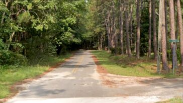 five-dead-after-late-night-mass-shooting-in-georgia-home