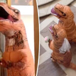 california-city-hall-goes-jurassic-with-dino-wedding-ceremony