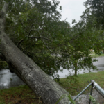 watch:-isaias-hits-fl-panhandle-exactly-two-years-to-the-day-and-hour-of-last-hurricane-to-make-us.-landfall