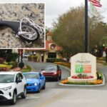 family-vacation-ruined-after-3-year-old-girl-finds-sex-toy-in-florida-hotel-room