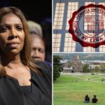 ny-ag-letitia-james-hit-with-bar-complaint-for-‘flagrant-violation’-in-‘cornell-7’-case:-‘she-must-recuse-herself’