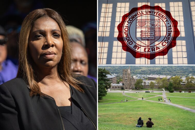 ny-ag-letitia-james-hit-with-bar-complaint-for-‘flagrant-violation’-in-‘cornell-7’-case:-‘she-must-recuse-herself’