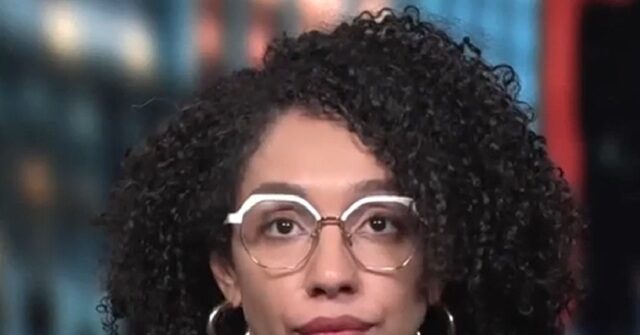 chevalier:-nypd-commissioner-didn’t-remind-people-we’re-a-sanctuary,-she-just-mentioned-man-ice-shot-has-record