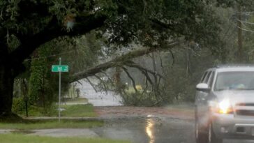 hurricane-isaias-weakens-after-killing-two,-leaving-hundreds-of-thousands-without-power
