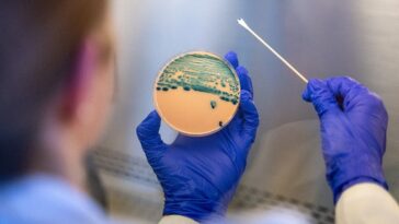 stomach-turning-sexually-transmitted-infection-is-on-the-rise-—-and-standard-medicines-are-failing