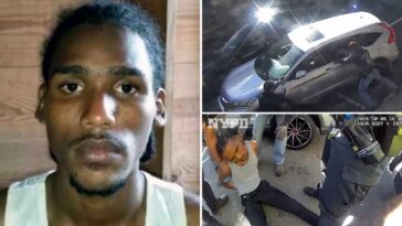 ‘criminal-illegal’-migrant-shot-by-ice-terrorized-nyc-apartment-building-with-machete:-‘menace-to-society’