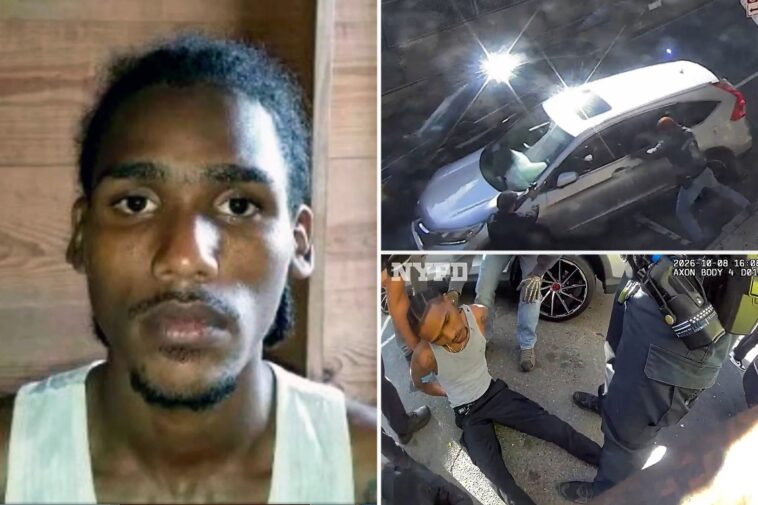 ‘criminal-illegal’-migrant-shot-by-ice-terrorized-nyc-apartment-building-with-machete:-‘menace-to-society’