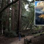 iconic-coastal-california-state-park-to-finally-reopen-after-devastating-wildfire
