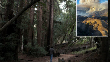 iconic-coastal-california-state-park-to-finally-reopen-after-devastating-wildfire