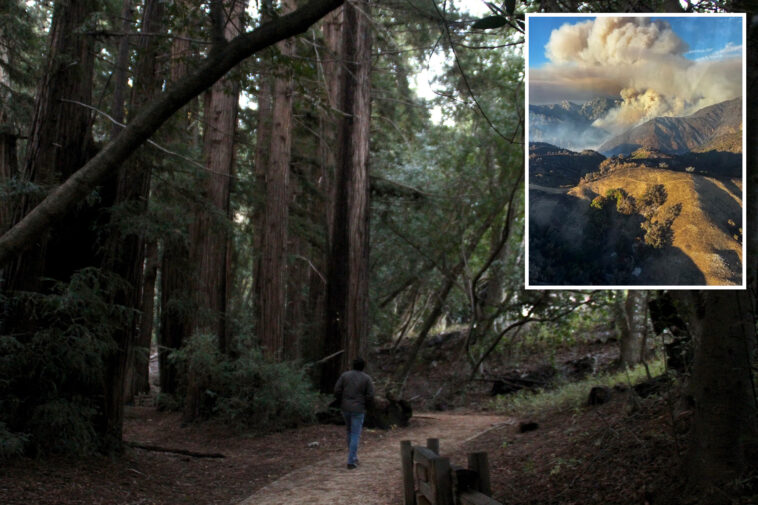 iconic-coastal-california-state-park-to-finally-reopen-after-devastating-wildfire