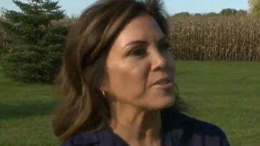 minnesota-newspaper-the-‘duluth-news-tribune’-endorses-republican-michele-tafoya-for-us.-senate