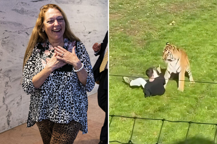 ‘tiger-king’-star-carole-baskin-tells-post-that-‘tiger-was-doing-nothing-wrong’-when-it-mauled-uk-zoo-intruder