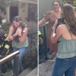 missing-kitten-reunited-with-family-after-fire-tears-through-california-home
