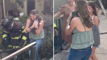 missing-kitten-reunited-with-family-after-fire-tears-through-california-home