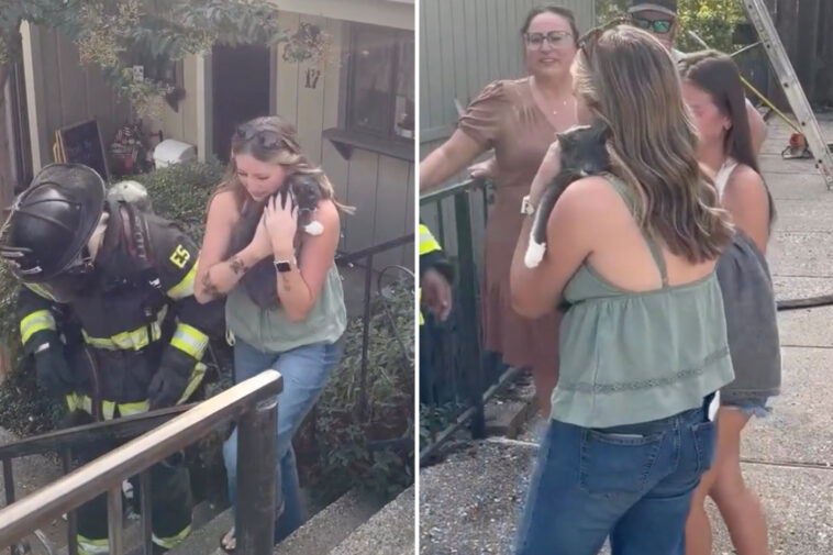 missing-kitten-reunited-with-family-after-fire-tears-through-california-home