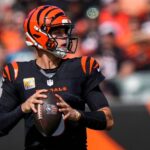 kalshi-promo-code-nypmax55:-get-up-to-$55-bonus-for-bengals-vs.-dolphins