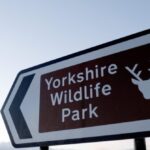tiger-kills-man-who-entered-big-cat-enclosure-at-english-wildlife-park
