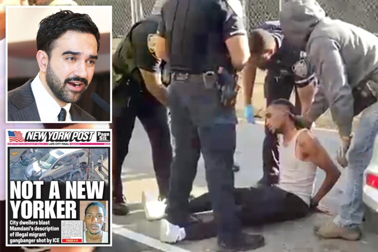 mamdani-threatens-to-probe-ice-after-nyc-‘illegal-migrant’-shooting-—-as-he-compares-agency-to-terrorists