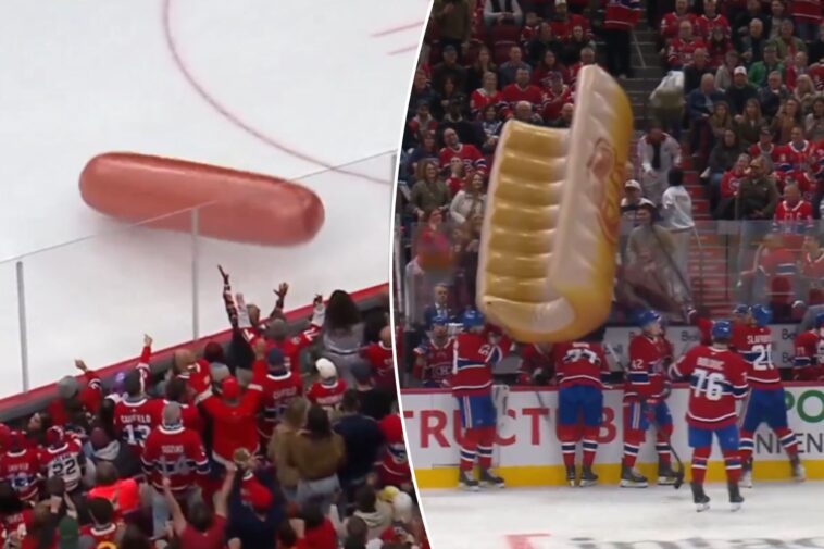 inflatable-hot-dog-and-bun-land-on-ice-at-canadiens-game-in-‘crazy’-scene