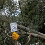 video-—-hurricane-isaias:-husband-of-wife-killed-when-tree-fell-on-home-says-‘everybody-loved-her’