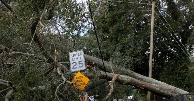 video-—-hurricane-isaias:-husband-of-wife-killed-when-tree-fell-on-home-says-‘everybody-loved-her’