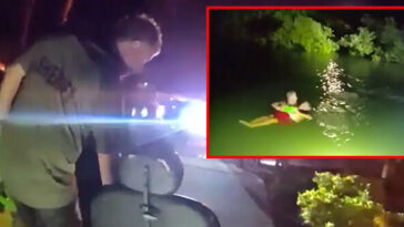 watch:-florida-sheriff’s-sergeant-jumps-in-predator-filled-atlantic-to-save-disabled-man