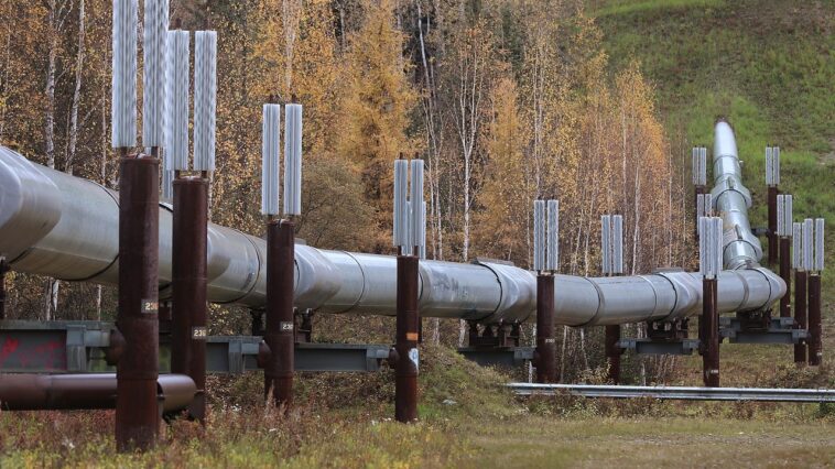 the-iran-war-didn’t-make-your-heating-bill-this-high.-blue-state-energy-policy-did