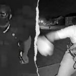 two-teens-arrested-after-carrying-what-looked-like-rifles-to-delaware-homes-in-late-night-prank:-police