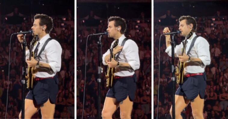 watch:-harry-styles-pauses-madison-square-garden-concert-to-honor-criminal-illegal-alien-shot-by-ice-in-the-bronx