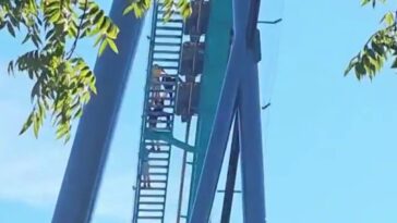 man-dies-after-falling-from-goliath-roller-coaster-at-six-flags-over-georgia