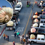 halloween’s-super-bowl-of-pumpkin-growers-descends-on-california-beach-town-—-see-the-giant-that-won