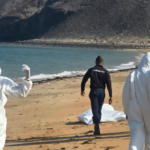 over-130-migrants-killed,-including-children,-as-boat-from-djibouti-to-yemen-capsizes