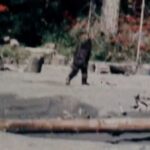 bigfoot-clip-everyone’s-seen-is-shown-to-be-total-fraud-after-film-cannister-stored-in-safe-for-decades-found