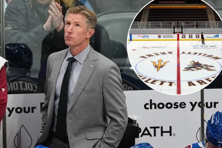 arizona-state-talking-to-dave-hakstol-with-hockey-program-in-chaos