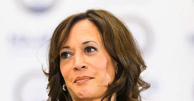 report:-kamala-harris-‘lays-groundwork’-for-2028-campaign
