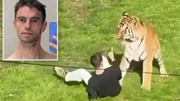 first-picture-of-man-mauled-to-death-by-tiger-revealed-as-shocking-details-of-last-moments-emerge