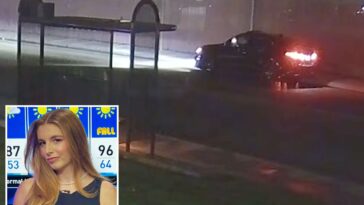 gunman-blasts-california-newsroom-with-barrage-of-bullets-in-terrifying-night-attack