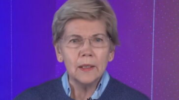 pure-projection:-elizabeth-warren-frets-about-trump-and-the-midterms:-‘i-worry-about-election-interference’-(video)