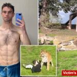 newly-released-video-filmed-by-tiger-mauling-victim-shows-him-calmly-approaching-beast-moments-before-he’s-killed