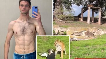 newly-released-video-filmed-by-tiger-mauling-victim-shows-him-calmly-approaching-beast-moments-before-he’s-killed