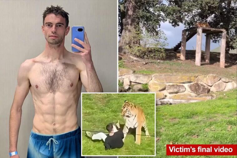 newly-released-video-filmed-by-tiger-mauling-victim-shows-him-calmly-approaching-beast-moments-before-he’s-killed