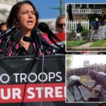 house-dem-pushes-bill-to-abolish-homeland-security-after-ilhan-omar-raid,-nyc-ice-shooting