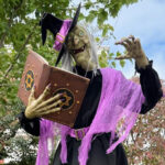 amazon-selling-scary-$219-halloween-witch-with-star-of-david-spell-book:-‘the-oldest-antisemitic-smear’
