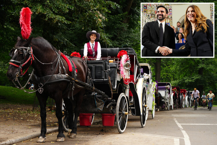 nyc-central-park’s-horse-drawn-carriages-to-be-banned-under-new-mamdani-deal